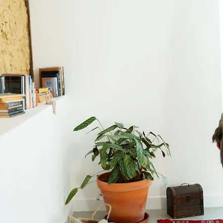 33 - In The Heart Of Historic Center Apartment